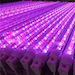 260x260 led tube grow light