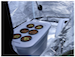 Hydroponic Cannabis Seedlings