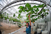 Hydroponics_Aquaculture_Farm_14