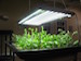T5-Grow-lights-300x225