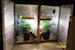 cflplants