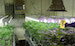 detroit022504_fig1