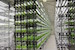 fujitsu_lettuce_plant_news_featured