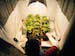 grow-house-2