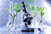 plant_science
