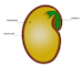 seed_parts