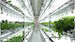 toshiba-indoor-farm