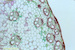 tumblr_mhedmpjDid1qhg5wno2_500