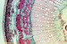 tumblr_mhedmpjDid1qhg5wno6_500